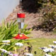 thumbnail image 4 of MEKKAPRO Outdoor Hummingbird Feeder Made from Glass Hanging 5 Nectar Feeding Stations Bright Red, 4 of 8