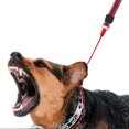 thumbnail image 4 of Raindrops Red Slip Lead Dog Leash for Training with Comfortable No Pull Control and Tangle Resistant Rope, 4 of 8