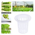 thumbnail image 3 of 10pcs Translucent Pots Slotted Mesh Soilless Culture Vegetable Net Pots Baskets Cups for Hydroponics Aquaponics Orchids, 3 of 8