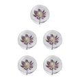 thumbnail image 3 of VONKY Resin Crystal Ball Enhancing Energy In Space Easily Portable Flower Crystal Ball Astrantia 8cm 5Set, 3 of 6