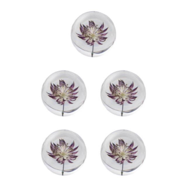 Baohd Exquisite Flower Crystal Ball Adding Elegance To Space Easily Portable Astrantia 8cm 5Set