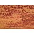 thumbnail image 1 of Ahgly Company Machine Washable Indoor Rectangle Transitional Neon Orange Area Rugs, 2' x 4', 1 of 7
