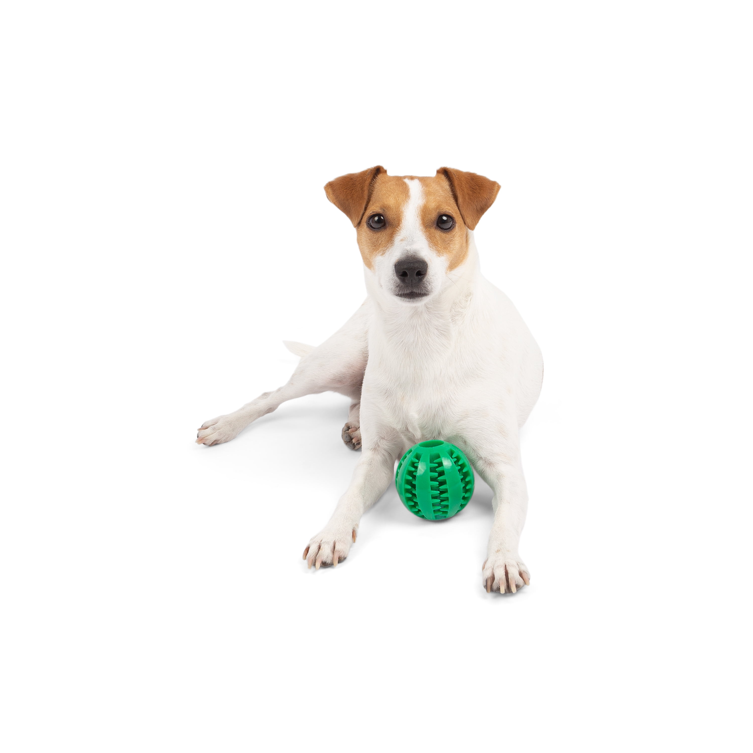 One Paw, Rubber Ball, Dog Toy, Tough Bouncing Play, for Dogs