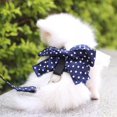 thumbnail image 2 of Dog Bowknot Harness with Leash Set For Small Medium Dogs Cat Lace Print Fashion Party, 2 of 5