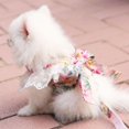 thumbnail image 3 of Dog Bowknot Harness with Leash Set For Small Medium Dogs Cat Lace Print Fashion Party, 3 of 5