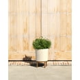 thumbnail image 3 of Veradek Mason Series Raised Demi 12" Plastic-Stone Planter with Stand - Sand/Brown, 3 of 9