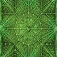 thumbnail image 1 of Ahgly Company Machine Washable Indoor Square Transitional Deep Emerald Green Area Rugs, 5' Square, 1 of 7