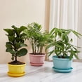 thumbnail image 1 of Flower Pot Nice-looking Fashion Lightweight Plastic Flower Vegetable Planters Pot with Tray for Home, 1 of 9