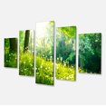thumbnail image 2 of Belle Herbe Verte et Arbres - Grande Impression sur Toile de Paysage, 2 of 3