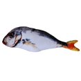 thumbnail image 1 of Electric Moving Fish Pet Toy Realistic Plush Simulation Wagging Fish Pet Kicker Toys Funny Interactive Pets, 1 of 6