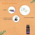 thumbnail image 3 of KRIAA Goodness Lavender Essential Oil 10ml with Dropper, 3 of 6