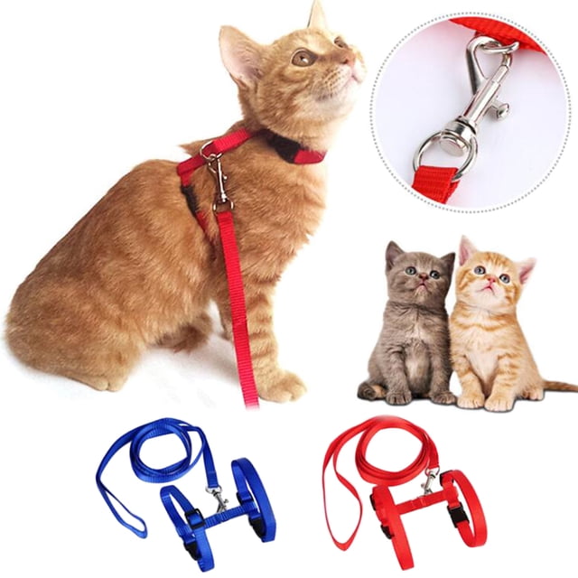 2 Ensembles de Laisses pour Animaux Harnais Ajustables Sangle en Nylon Robuste Laisses pour Chat avec Harnais pour Marcher. l'Image Met en Vedette un Chat Gingembre Portant un Harnais en Nylon Rouge avec une Laisse, un Gros Plan de la Pince Métallique, et Deux Ensembles de Harnais et Laisse Supplémentaires en Rouge et Bleu. Ajustable pour des Tailles de Cou de 26 cm et des Tailles de Poitrine de 33 cm, avec une Longueur de Laisse de 125 cm. Fabriqué en Nylon durable pour le Confort et la Sécurité Lors des Promenades.