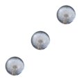 thumbnail image 3 of Baohd Exquisite Flower Crystal Ball Adding Elegance To Space Easily Portable Dandelions 6cm 3Set, 3 of 6