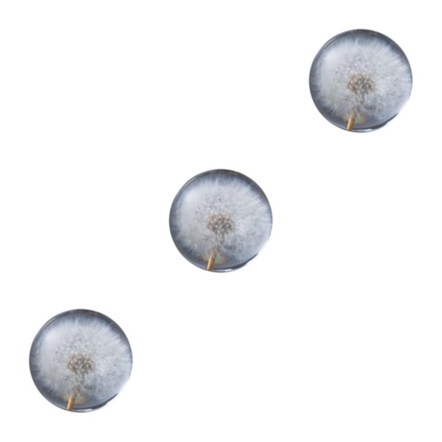 Baohd Exquisite Flower Crystal Ball Adding Elegance To Space Easily Portable Dandelions 7cm 3Set