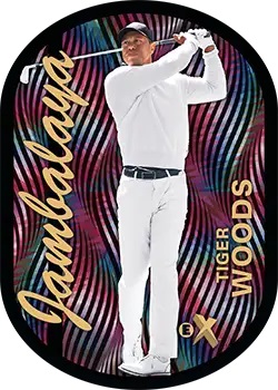 2024 Upper Deck Skybox Metal Universe Champions cartes à collectionner (Mass Blaster)