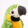 thumbnail image 3 of Animated Plush Repeating Parrot Children Interactive Toys Green, 3 of 8