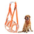 thumbnail image 4 of Mesh Pet Dog, Leg Support Belt Lifting Assist Lift Harness Rear For  Injury ElderXL, 4 of 8
