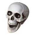 thumbnail image 2 of Yhmxh Halloween Decorations,Party Favors,Halloween Skeletons Plastic Realistic Fake Simulation Human Skull HeadBone Model Halloween Prop Realistic Mini Skeleton Spooky Halloween Decoration, 2 of 5