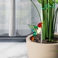 thumbnail image 5 of Chmadoxn Home Decor, Room Decor, Wall Decor Acrylic Potted Insert Planter Decoration decontaminating agent, 5 of 5