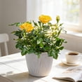 thumbnail image 4 of Dvkptbk Ripples Circular Flowerpot Potted Home Gardening Balcony Succulents Plants Pot organization and storage, 4 of 6