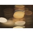 thumbnail image 1 of Ahgly Company Tapis d'Intérieur Lavables en Machine, Rectangle Transitionnel, Zone Rouge, 8' x 12', 1 of 7