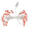 thumbnail image 3 of String Lights, Warm White 3 Meter 20 LEDs Waterproof Fairy String Lights  For Garden, 3 of 8