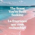 thumbnail image 3 of Yankee Candle Scented Candle, Pink Sands, 10 oz, Studio Collection, Up to 50 Hours of Burn Time, 3 of 7