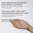 thumbnail image 3 of Dr.Melaxin Bondex Shampooing Remodelant à Liaisons Protéiques, 3 of 5