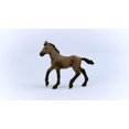 thumbnail image 3 of Schleich Poulain Paso Péruvien, 3 of 5