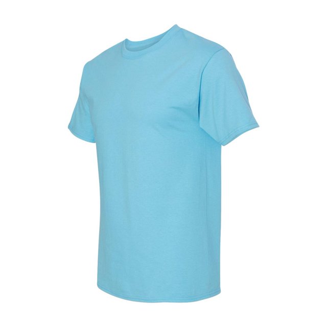 Hanes Men's Authentic-T T-Shirt - 5250T (Pack Of 3)