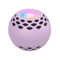 thumbnail image 1 of EGNMCR Protective Cover For HomePod Mini Smart Speaker With Portable Carrying Case Du-st Proof Case Cas Cove, 1 of 7