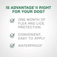 thumbnail image 2 of Advantage II Flea Treatment for Small Dogs (2 doses), 2 of 7