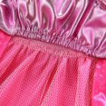 thumbnail image 4 of Pet Halloween Cosplay Costume Funny Cartoon Princess Dress And Hat Set For Small And Medium Dogs, 4 of 13