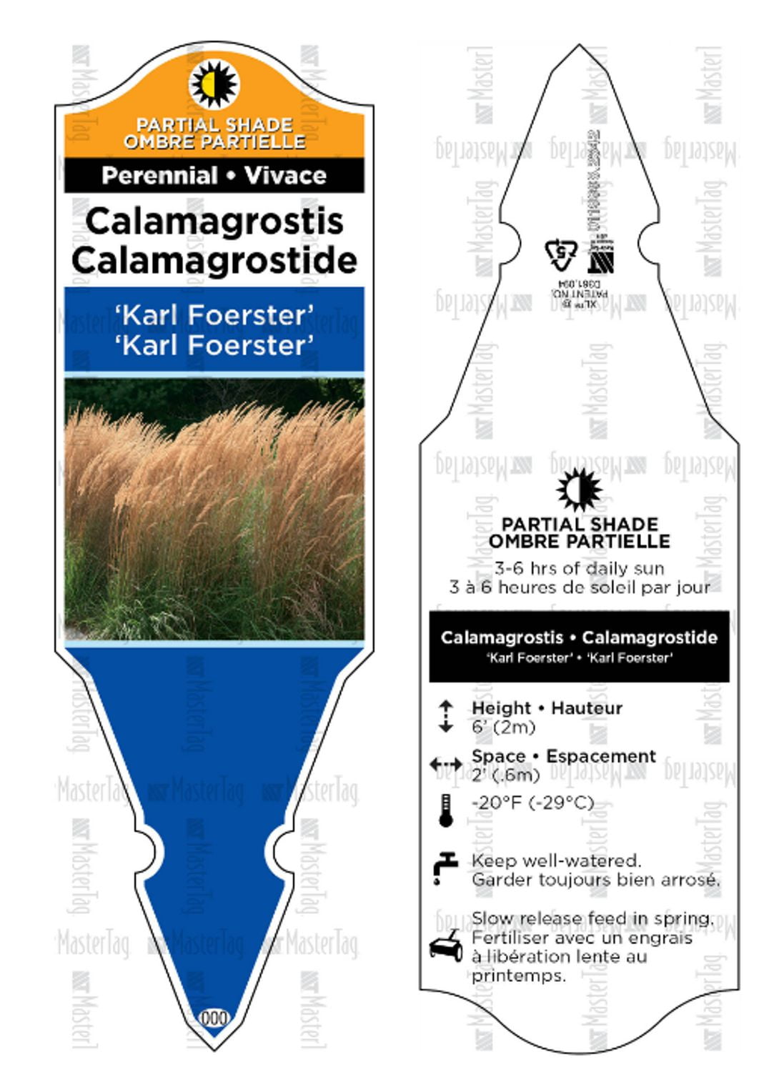 Ensemble de arbuste 6 contenants de 1 gallon jardin dautomne