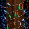 thumbnail image 3 of Novelty Lights 24FT 70 LED C6 St. Patrick's Day Outdoor String Lights, 3 of 6