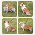 thumbnail image 4 of Flush P Chain Leash Nylon Sewn Leather Pet Dog Leash Extended Thick Training Dog Leash Leash P Rope Waist Leash for Small Dogs Harnesses Dog Line for outside Dog Leash for Running Dog Leash with Poop, 4 of 4