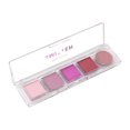 thumbnail image 2 of Profusion Cosmetics | Palette de fards à paupières Smitten 5 teintes, 2 of 4