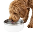 thumbnail image 2 of One Paw, Large Double Stainless Steel Dog Bowl, 2.1L (71 oz), 2 of 12
