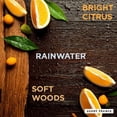 thumbnail image 3 of Scent Theory Hand Sanitizer Spray, Rainfall, 1 fl oz, 3 of 4