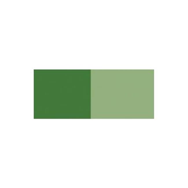 Chartpak GBC187P Acrylic Paint 75ml Sap Green