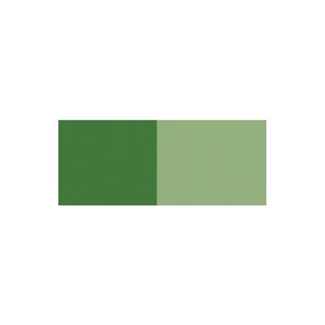 Chartpak GBC187P Acrylic Paint 75ml Sap Green