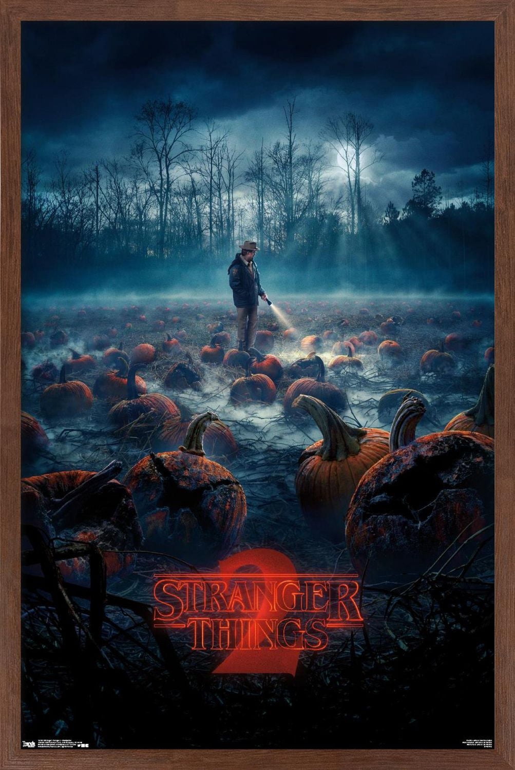 Netflix Stranger Things : Saison 2 - Citrouilles