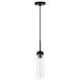thumbnail image 1 of Hudson & Canal PD0648 Kagan Blackened Steel & Clear Glass Mini Pendant, 1 of 8