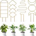 thumbnail image 1 of DEBGFS 4 Pcs Small Metal Plant Trellis for Indoor Potted Plants Trellis for Climbing Plants Indoor House Plant Trellis Indoor Plant Support Stake for Small Planter,glod, 1 of 6