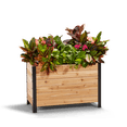 thumbnail image 1 of Jardinière 18 Pouces x 36 Pouces - 24 Pouces de Hauteur, 1 of 11