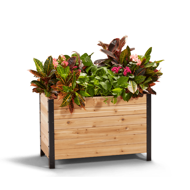 Jardinière 18 Pouces x 36 Pouces - 24 Pouces de Hauteur
