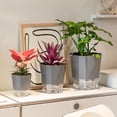 thumbnail image 4 of Self Watering Flower Automatic Flowerpot Garden Planter Rope Indoor Convenient Stable For House Planting Tool Supply Gray/M, 4 of 10