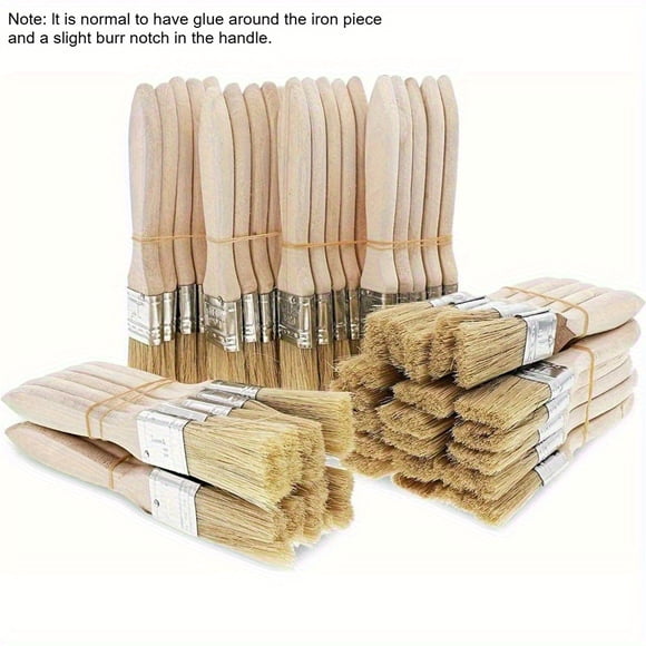 DEBGFS 50 Pack Chip Paint Brushes 1 Inch Chip Brush Brushes for Painting Paint Brushes Stain Brushes for Wood Bristle Paint Brush 1 Inch Paint Brush Chip Paint Brushes for Paint