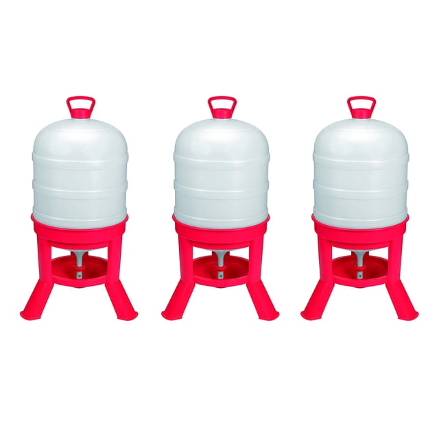 Little Giant DOMEWTR10 Arroseur Gravité Volaille Poulet 10 Gallons (Lot de 3)