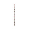 thumbnail image 2 of 100 Pailles en Papier Jetables Rouges / Pailles en Papier Kraft Biodégradables pour Boissons Chaudes et Froides / Alternative Écoresponsable au Plastique / Fournitures pour Fêtes et Événements, 2 of 6